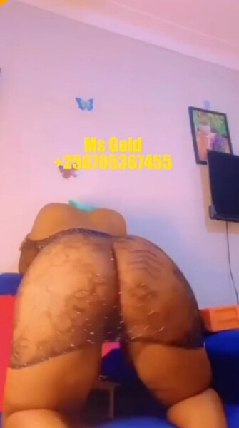 Ms gold